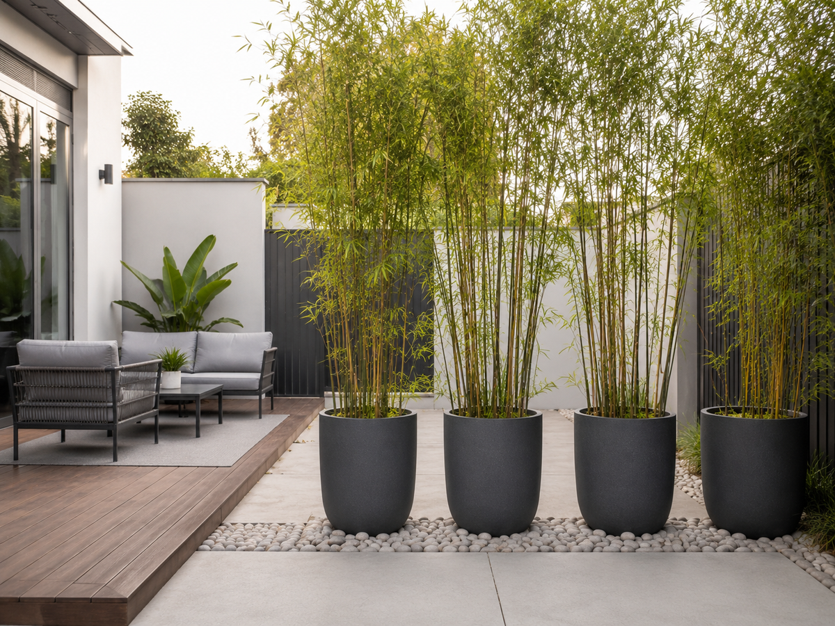 Rental-Friendly Gardens: Taking Your Bamboo Privacy Screen With You When You Move