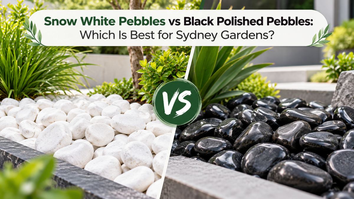 Snow White Pebbles vs Black Polished Pebbles: Which Is Best for Sydney Gardens?