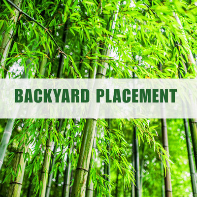 Backyard Placement Charge