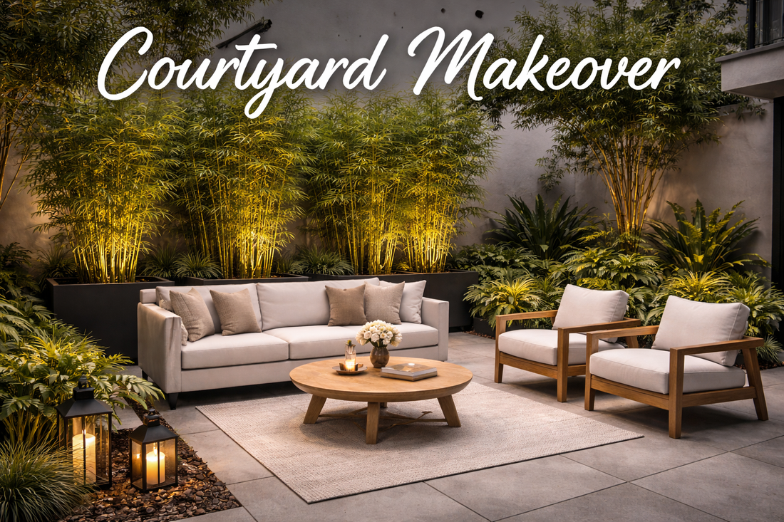 Courtyard Makeover: Before-and-After Layouts Using Bamboo in Troughs