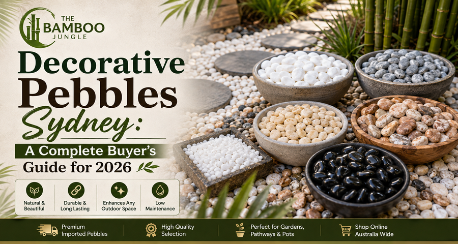 Decorative Pebbles Sydney: A Complete Buyer's Guide for 2026