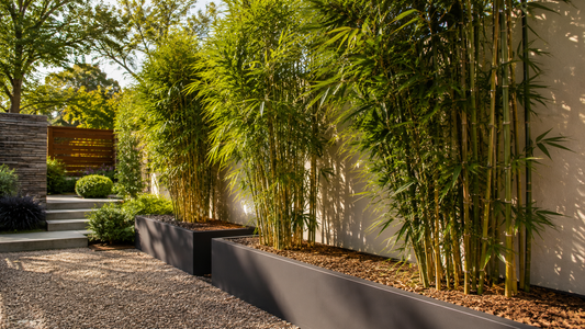 Mulching Around Planter Boxes and Troughs: How to Keep Pots Cooler and Wetter