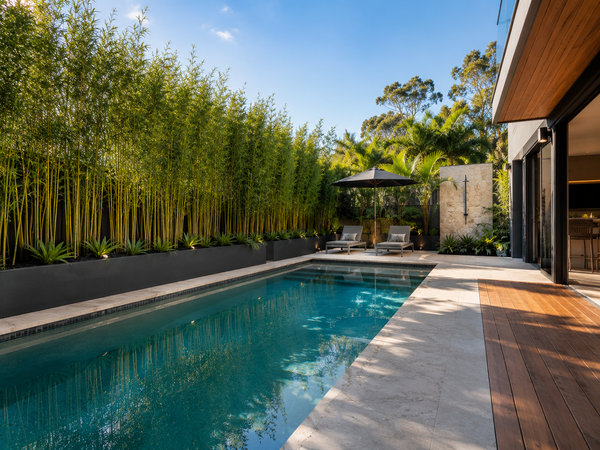 Design Ideas: Bamboo & Planter Troughs for Modern Poolside Privacy