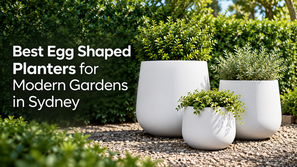 Best Egg Shaped Planters for Modern Gardens in Sydney