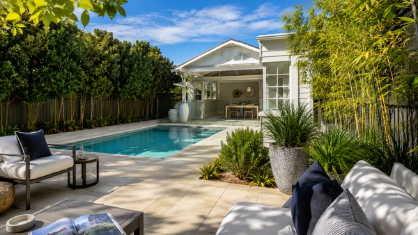 Salt-Tolerant Screening Plants for Coastal Sydney Pools and Patios