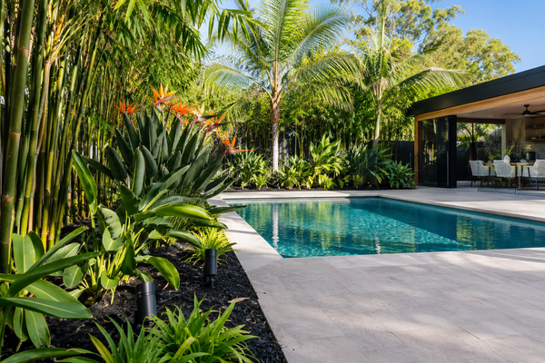 Poolside Landscaping: Why Black Mulch Works So Well with Tropical Plants