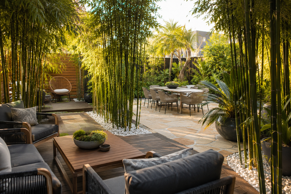 Designing a "Green Room": Using Bamboo to Create Outdoor Zones in Australian Gardens