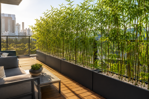 Lightweight Planter Troughs for Bamboo: Stylish Screening Solutions for Balconies & Small Outdoor Spaces