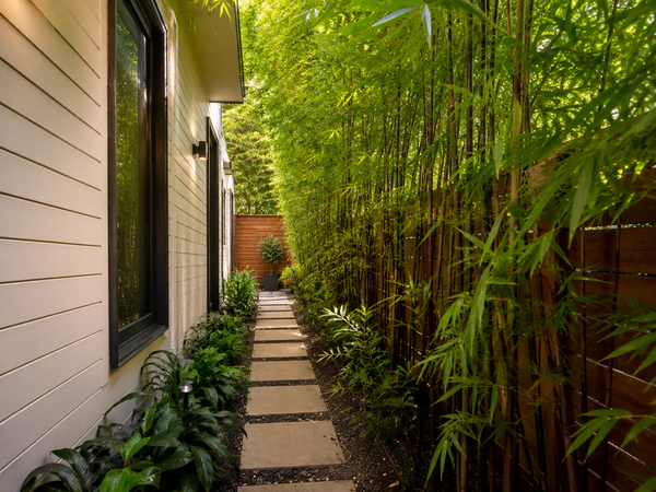Urban Seclusion: How to Achieve Total Privacy in Narrow Side Passages with Bamboo