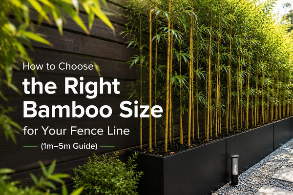 How to Choose the Right Bamboo Size for Your Fence Line (1m–5m Guide)