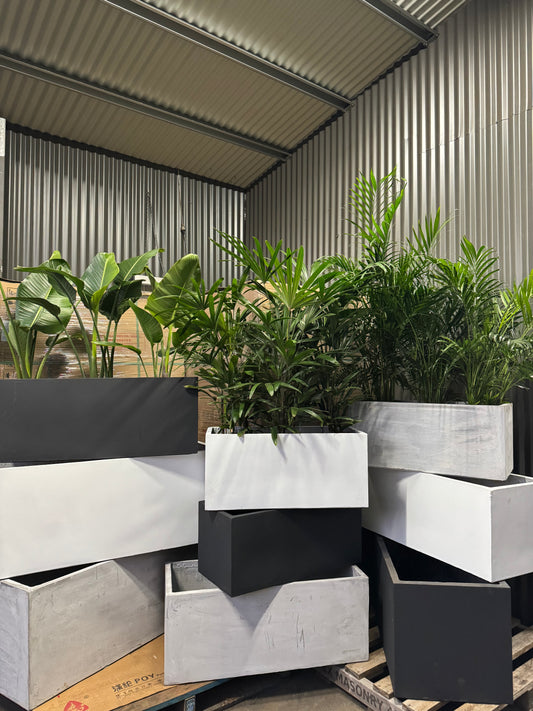Lightweight Fibreglass Planter Boxes
